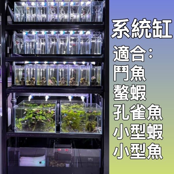 小型魚蝦底濾系統缸 - 可定製尺寸 - 森流 GreenFlow - 動植物造景專門店