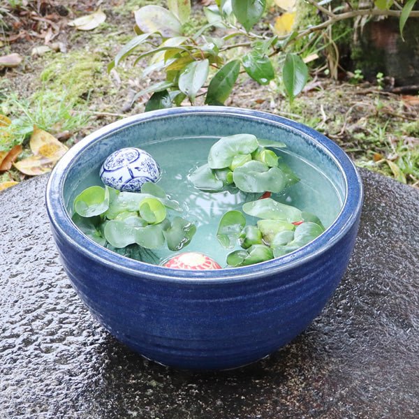 信楽焼 睡蓮盆 稻田魚水盆、金魚、蓮花水缸 日本水盆 40cm未満 [su - 0139] - 森流 GreenFlow - 動植物造景專門店