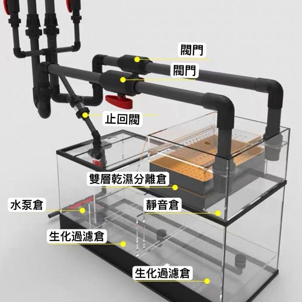 底濾系統溪流缸（可定制尺寸） - 森流 GreenFlow - 動植物造景專門店