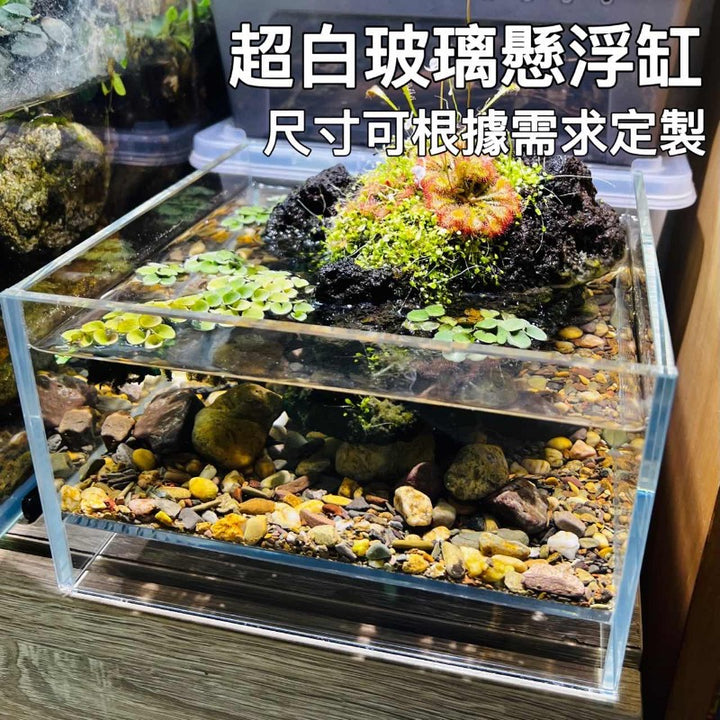 超白玻璃懸浮缸（可定制尺寸）