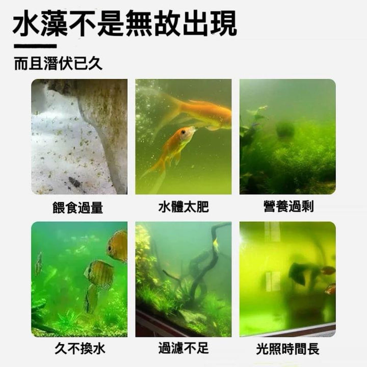 BIOZYM N1除藻劑（適合魚缸） - 森流 GreenFlow - 動植物造景專門店