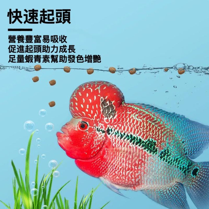 Depontaqua 羅漢魚專用魚糧 - 幫助起頭增色 - 森流 GreenFlow - 動植物造景專門店