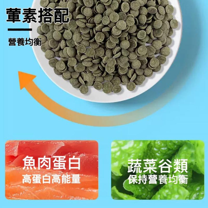 Depontaqua 異形底棲魚糧 - 森流 GreenFlow - 動植物造景專門店