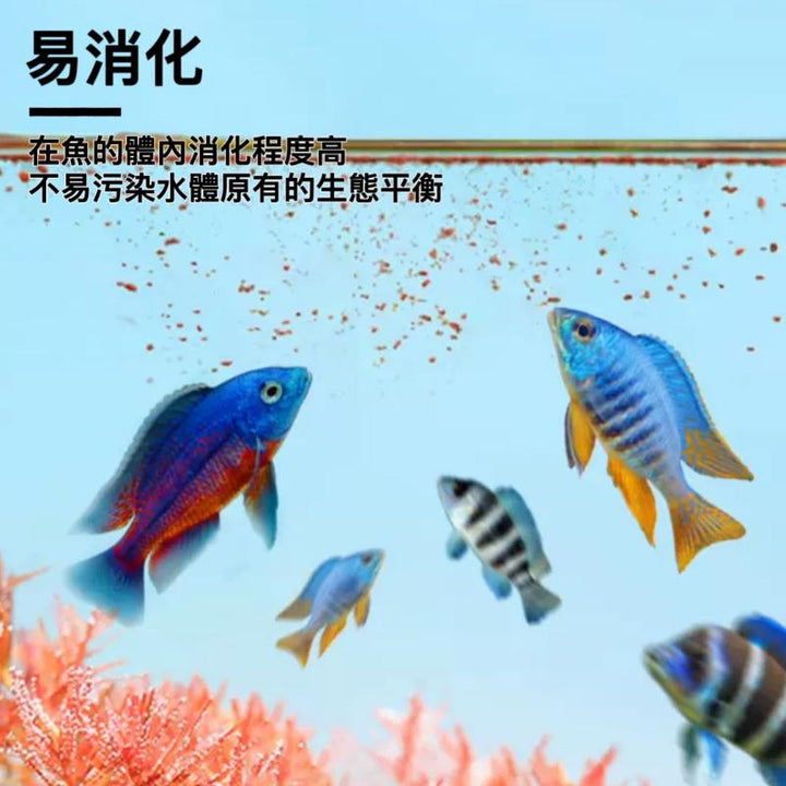 Depontaqua 三湖慈鯛肉食魚糧 - 森流 GreenFlow - 動植物造景專門店