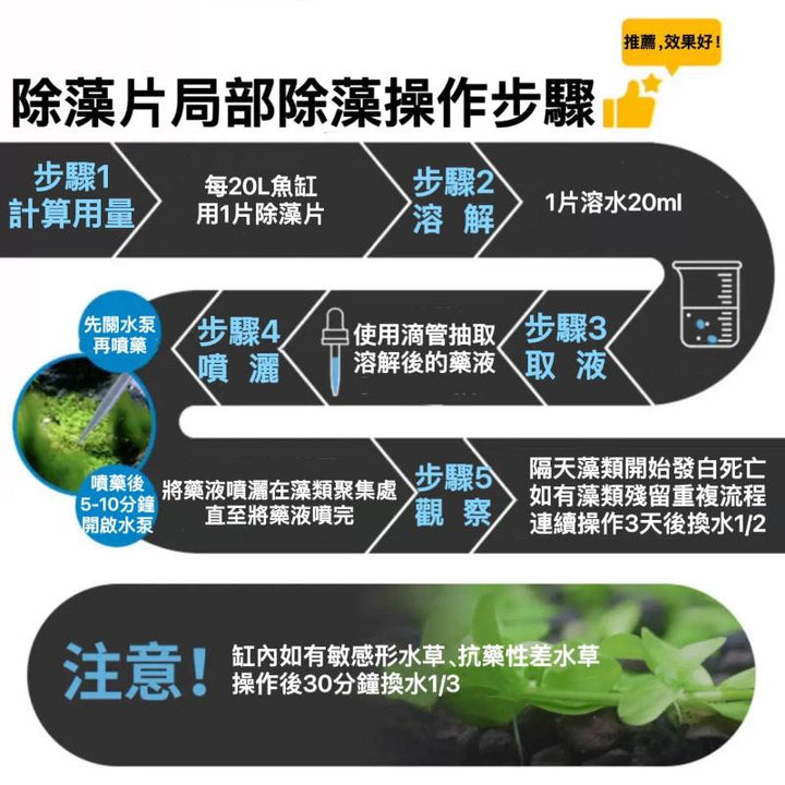 Dr.Tank 除藻片 - 森流 GreenFlow - 動植物造景專門店