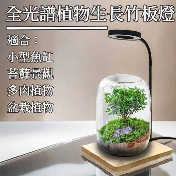 全光譜竹板燈 - 森流 GreenFlow - 動植物造景專門店