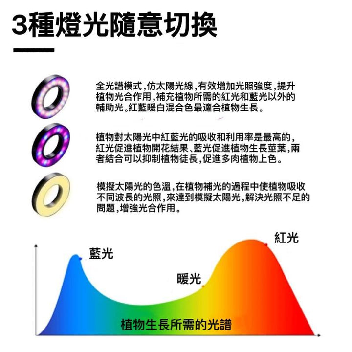 全光譜竹板燈 - 森流 GreenFlow - 動植物造景專門店