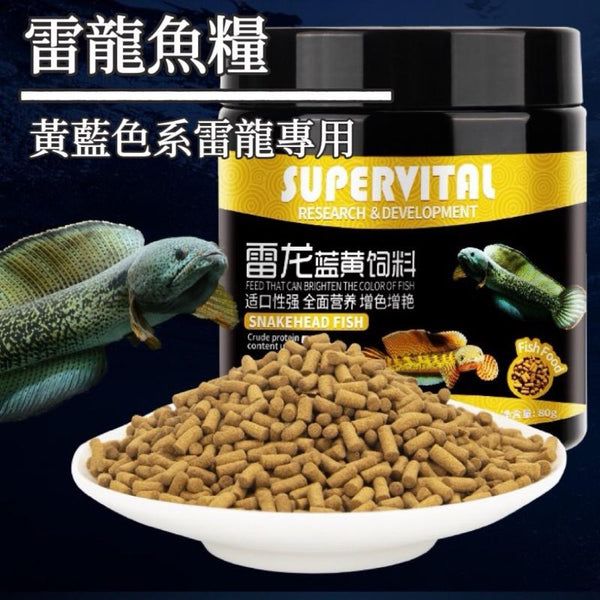 Supervital 黃藍雷龍專用魚糧 - 森流 GreenFlow - 動植物造景專門店