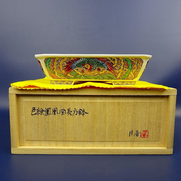 盆栽鉢 月香 小型 長辺 約15cm 長方鉢 外縁 色絵 鳳凰 共布 共箱 観賞用  新品 l1104252302