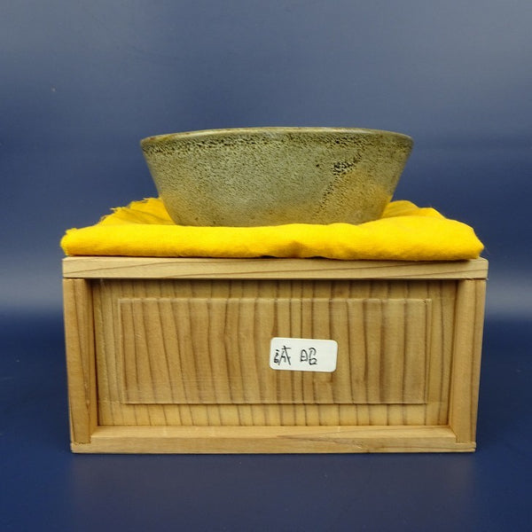 中古盆栽鉢 春日誠昭 小型 長辺 約11cm 楕円鉢 釉薬 箱付 布付  中古鉢 o1118131565