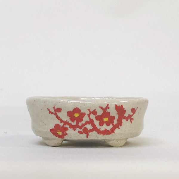 盆栽鉢 文山 越前文山 小鉢 長辺 約 6.8cm 楕円鉢 赤絵 竹 花 観賞用  新品 x1140294726