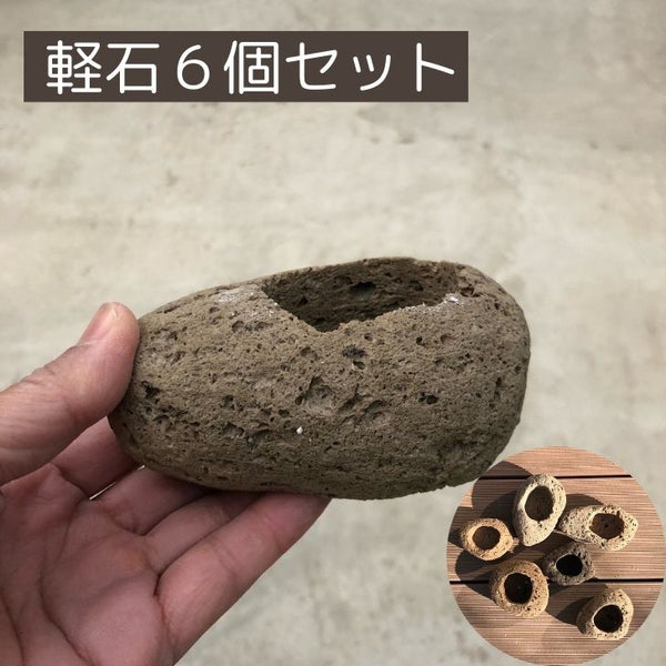 盆栽鉢 軽石 付石 盆栽 苔盆栽 テラリウム bonsai 山野草 セレクト 数量物 ６個セット o1146906033