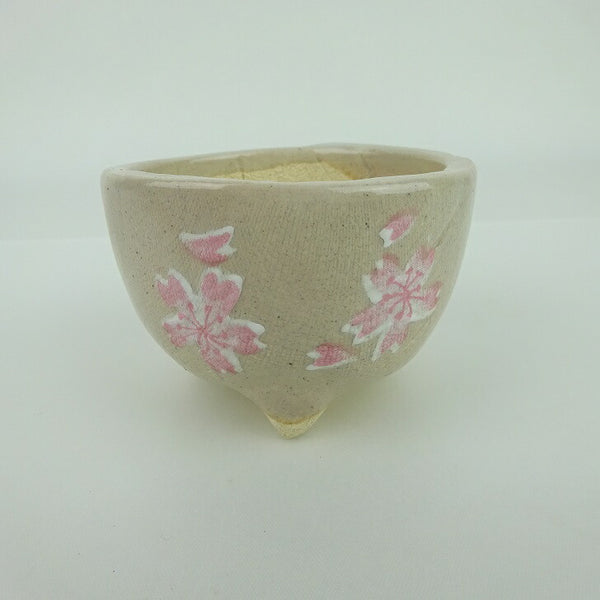 盆栽鉢 ゆうき祥石 小鉢 長辺 約7cm 丸鉢 プリント 絵鉢 桜 サクラ さくら 釉薬 観賞用  新品 1152851446