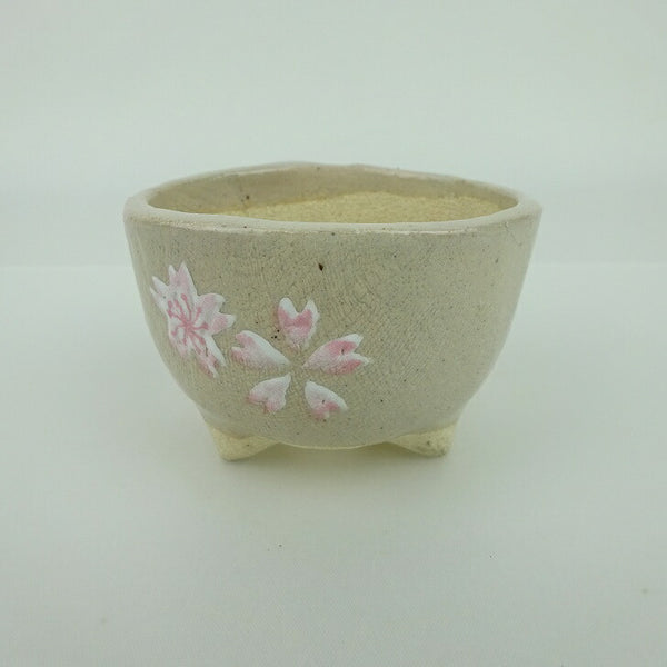 盆栽鉢 ゆうき祥石 小鉢 長辺 約7.2cm 丸鉢 プリント 絵鉢 桜 サクラ さくら 釉薬 観賞用  新品 o1152868892