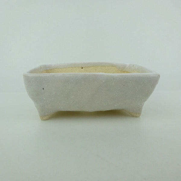 Potted plant bowl Yuki Shoishi small long bowl about 11.5cm rectangular bowl glazed pot for viewing new product k1166160142