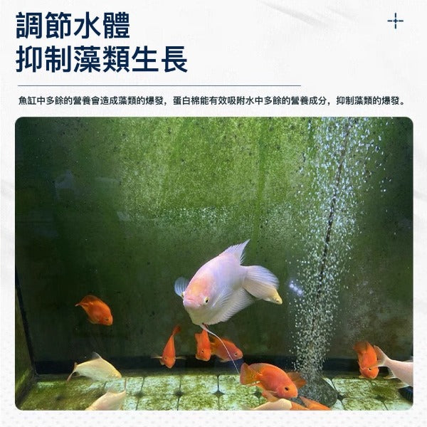 蛋白棉/淨水丸-魚缸淨水濾材