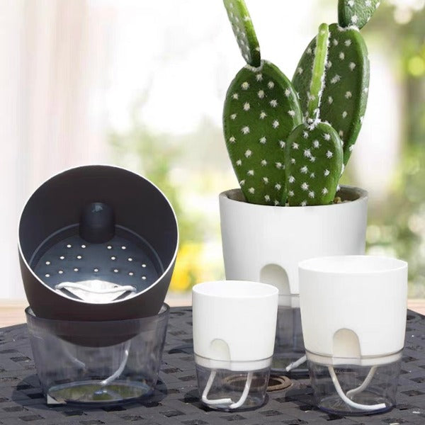 自動吸水花盆 Automatic water-absorbing flowerpot