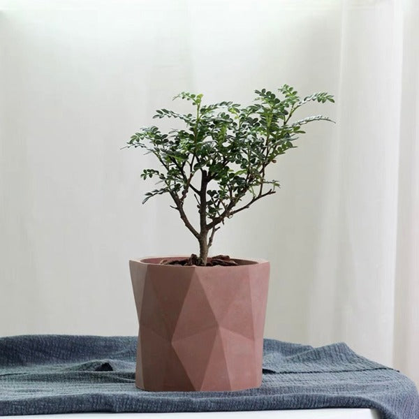 鑽石紋簡約花盆 Diamond Pattern Simple Flower Pot