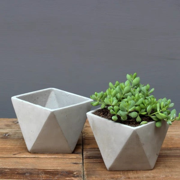 鑽石形透氣水泥多肉盆 Diamond Shape Cement Pot