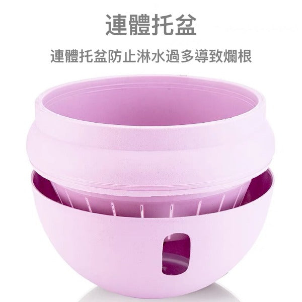 自吸水懸掛式吊盆 Self-Absorbent Hanging Flower Pot