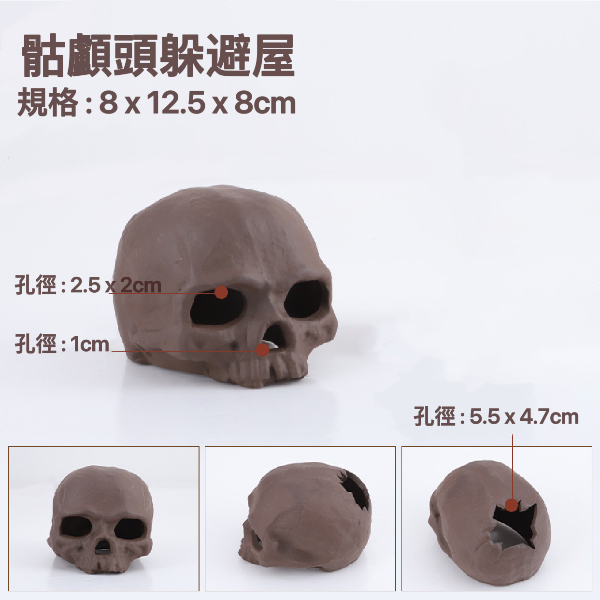 骷顱頭躲避屋 Skull Shelter